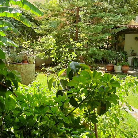 Lovely House 雅典 外观 照片