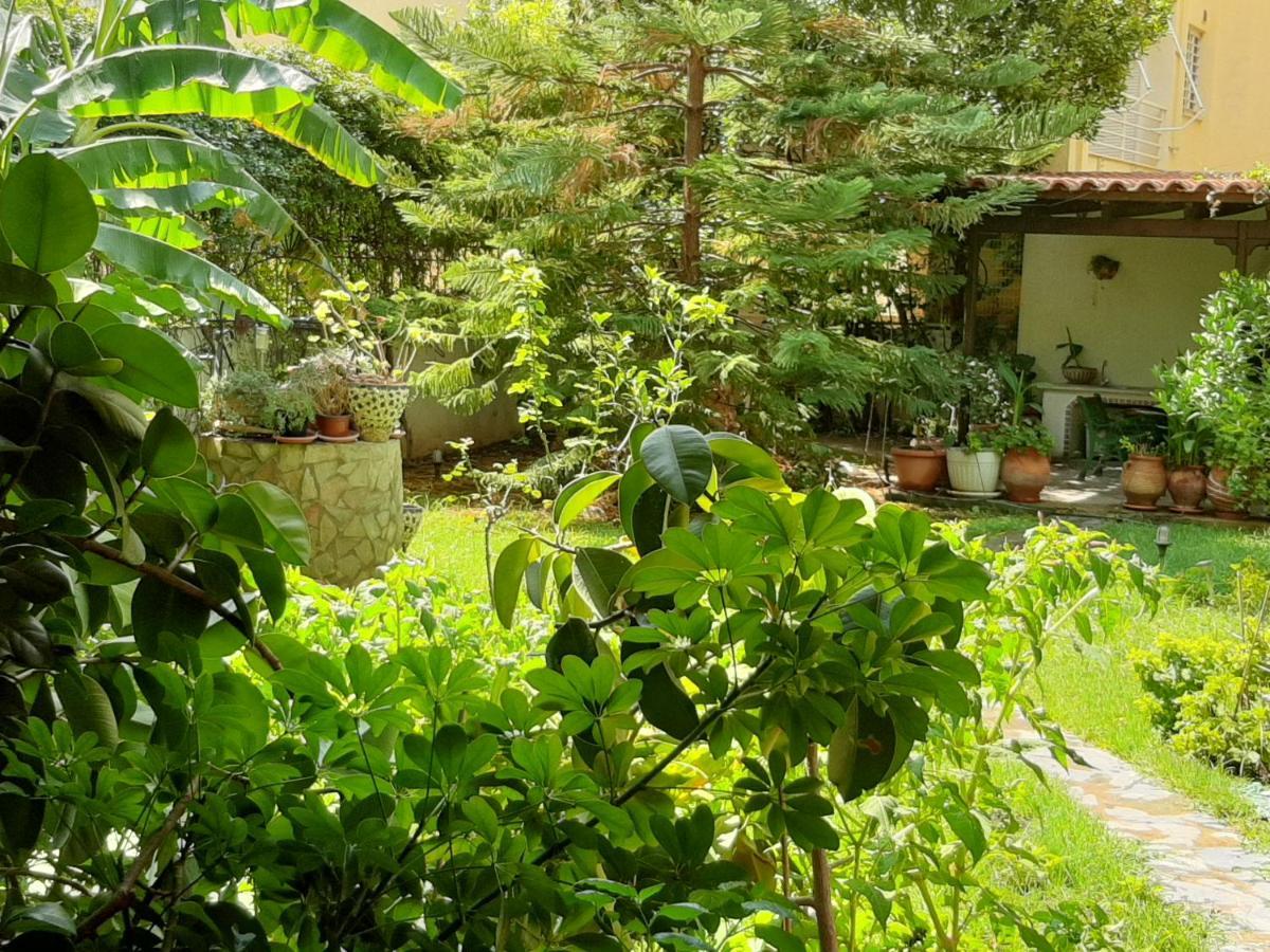 Lovely House 雅典 外观 照片